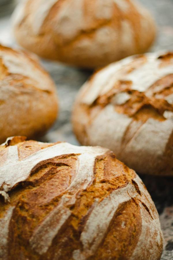 Kai 36 - Hotel Zwischen Fels Und Fluss Graz Eksteriør billede Bread